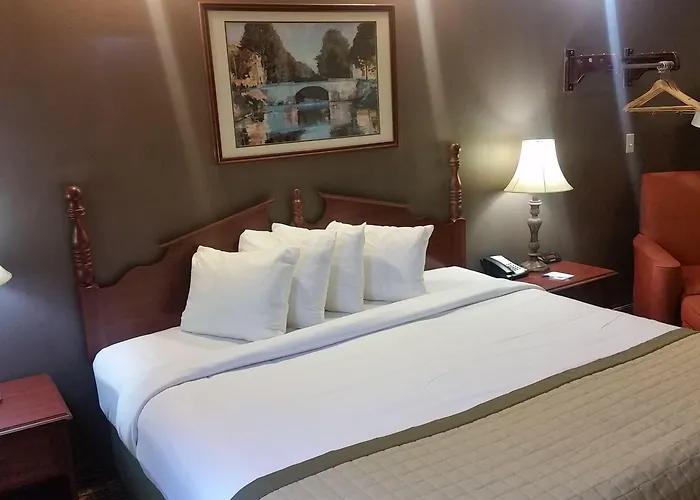 Hotel Baymont By Wyndham Airport